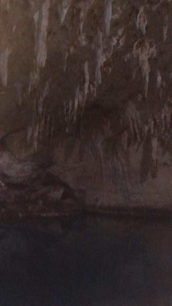 ボホール島ひとり旅で行くべきHinagdanan Cave 